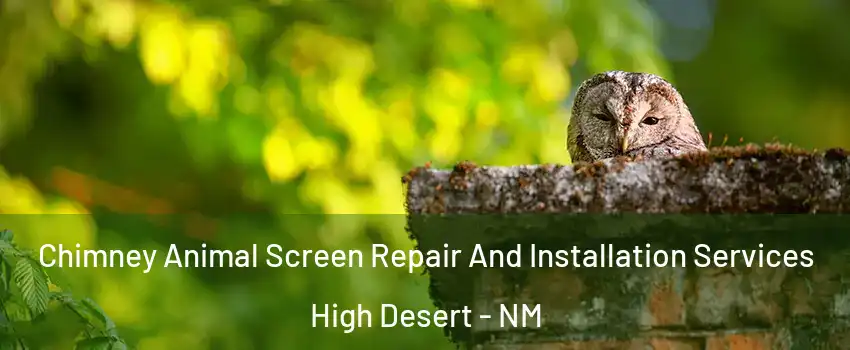 Chimney Animal Screen Repair And Installation Services High Desert - NM