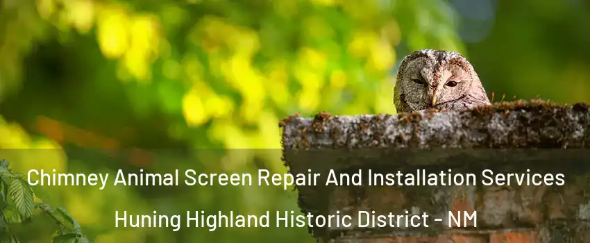 Chimney Animal Screen Repair And Installation Services Huning Highland Historic District - NM