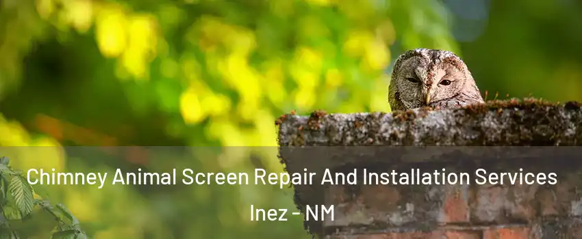 Chimney Animal Screen Repair And Installation Services Inez - NM