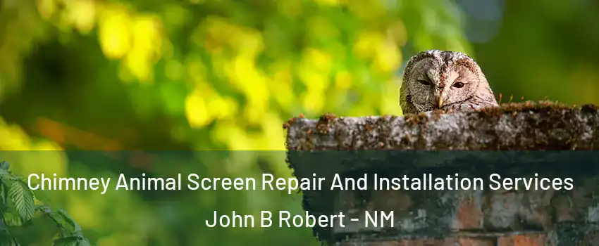 Chimney Animal Screen Repair And Installation Services John B Robert - NM