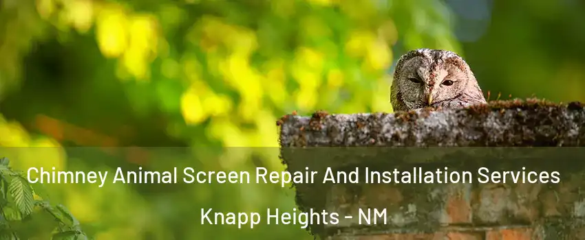 Chimney Animal Screen Repair And Installation Services Knapp Heights - NM