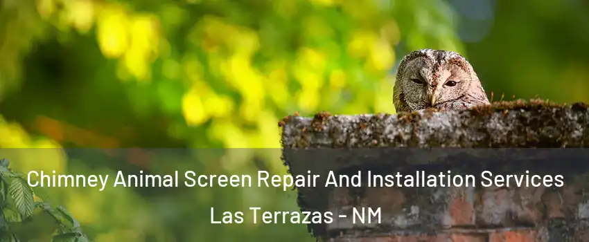 Chimney Animal Screen Repair And Installation Services Las Terrazas - NM