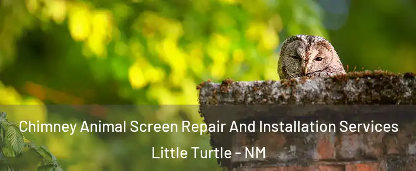 Chimney Animal Screen Repair And Installation Services Little Turtle - NM