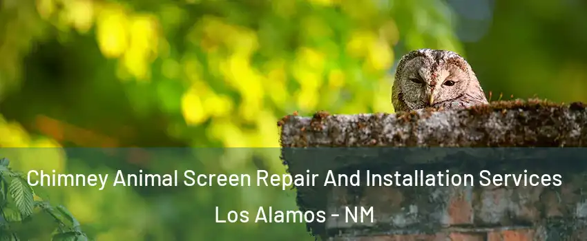Chimney Animal Screen Repair And Installation Services Los Alamos - NM
