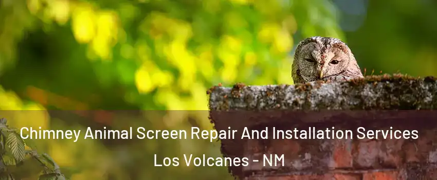 Chimney Animal Screen Repair And Installation Services Los Volcanes - NM