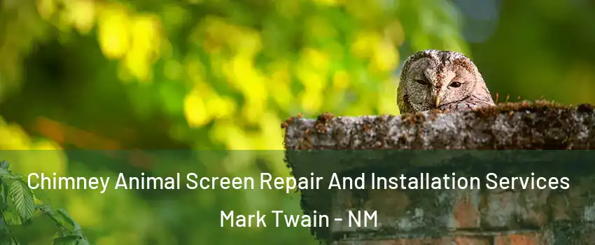 Chimney Animal Screen Repair And Installation Services Mark Twain - NM