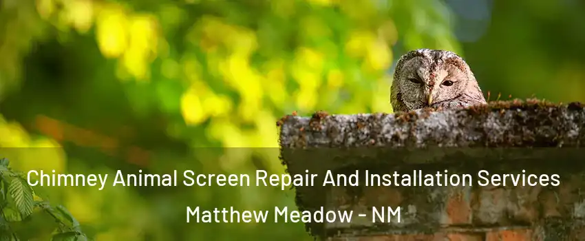 Chimney Animal Screen Repair And Installation Services Matthew Meadow - NM