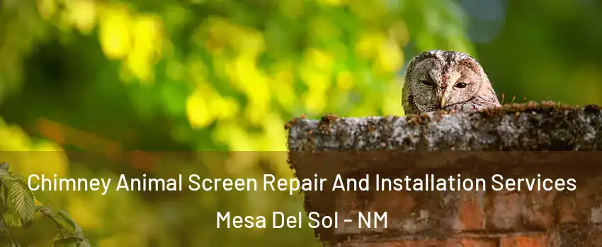 Chimney Animal Screen Repair And Installation Services Mesa Del Sol - NM