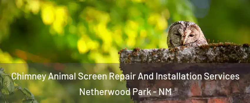 Chimney Animal Screen Repair And Installation Services Netherwood Park - NM