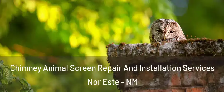 Chimney Animal Screen Repair And Installation Services Nor Este - NM