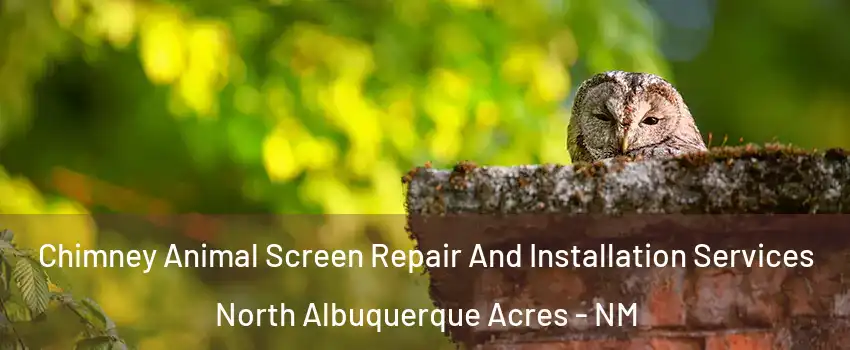 Chimney Animal Screen Repair And Installation Services North Albuquerque Acres - NM