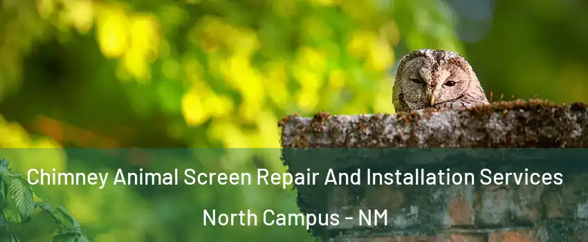 Chimney Animal Screen Repair And Installation Services North Campus - NM