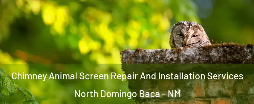 Chimney Animal Screen Repair And Installation Services North Domingo Baca - NM