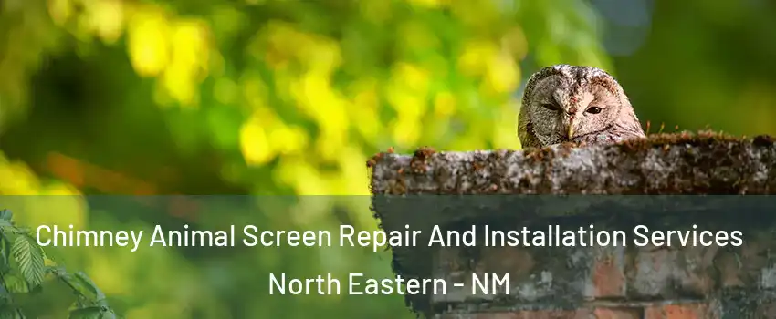 Chimney Animal Screen Repair And Installation Services North Eastern - NM