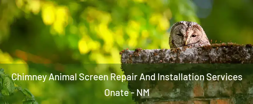Chimney Animal Screen Repair And Installation Services Onate - NM