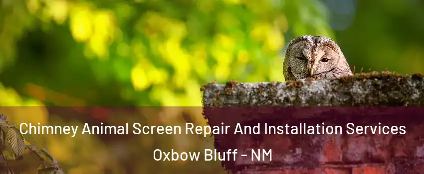 Chimney Animal Screen Repair And Installation Services Oxbow Bluff - NM