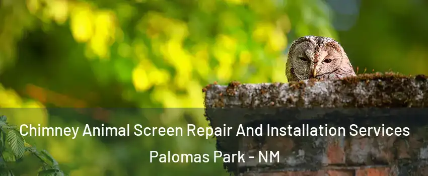 Chimney Animal Screen Repair And Installation Services Palomas Park - NM