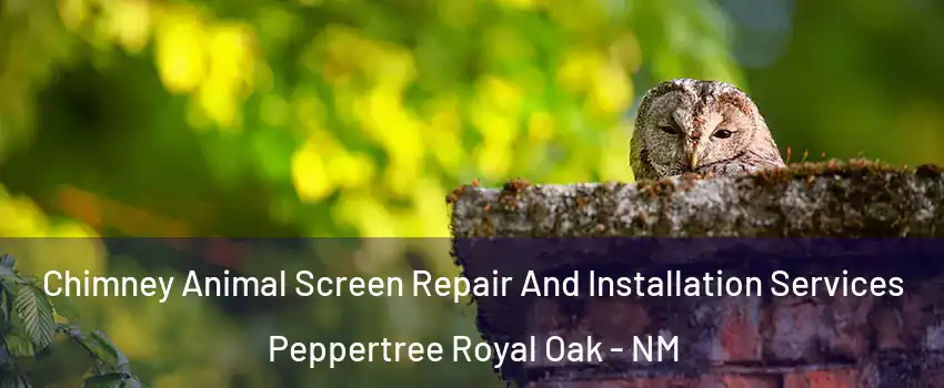 Chimney Animal Screen Repair And Installation Services Peppertree Royal Oak - NM