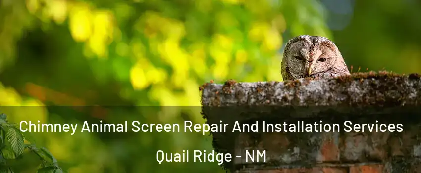 Chimney Animal Screen Repair And Installation Services Quail Ridge - NM