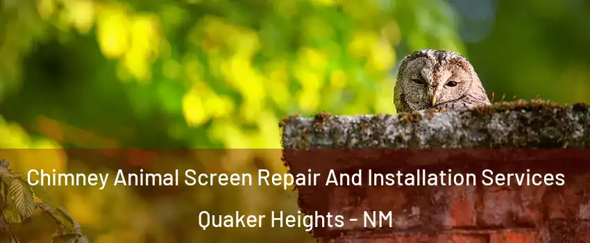 Chimney Animal Screen Repair And Installation Services Quaker Heights - NM