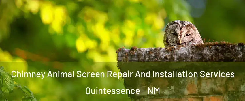 Chimney Animal Screen Repair And Installation Services Quintessence - NM