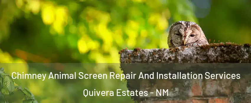 Chimney Animal Screen Repair And Installation Services Quivera Estates - NM