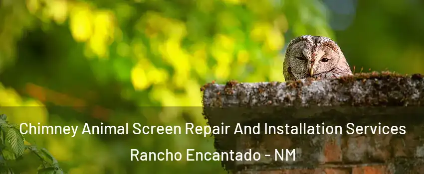 Chimney Animal Screen Repair And Installation Services Rancho Encantado - NM