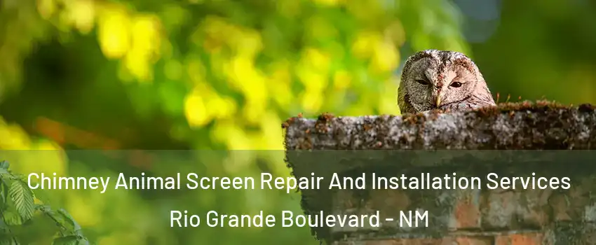 Chimney Animal Screen Repair And Installation Services Rio Grande Boulevard - NM