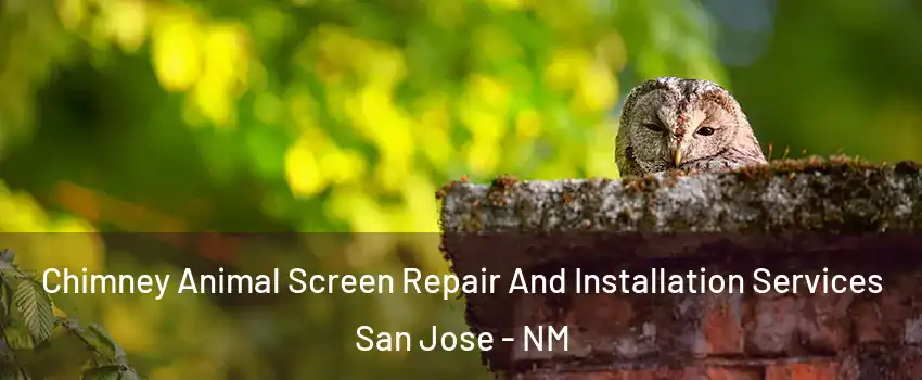 Chimney Animal Screen Repair And Installation Services San Jose - NM