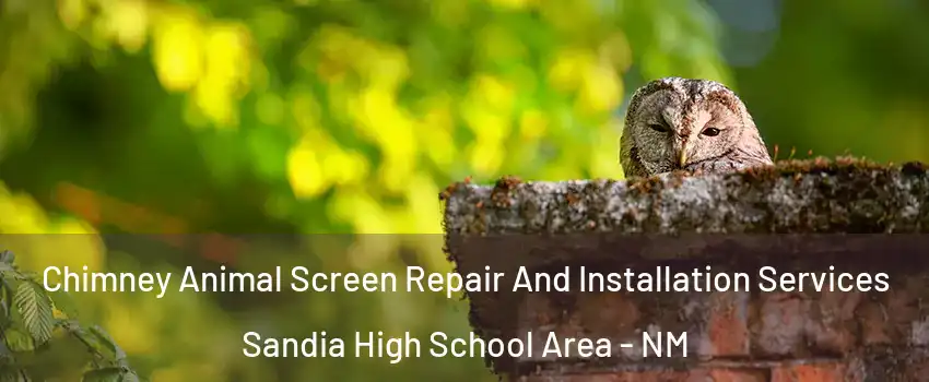 Chimney Animal Screen Repair And Installation Services Sandia High School Area - NM