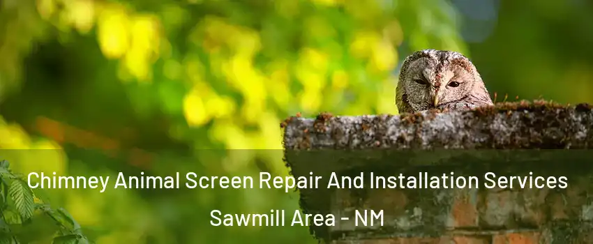 Chimney Animal Screen Repair And Installation Services Sawmill Area - NM