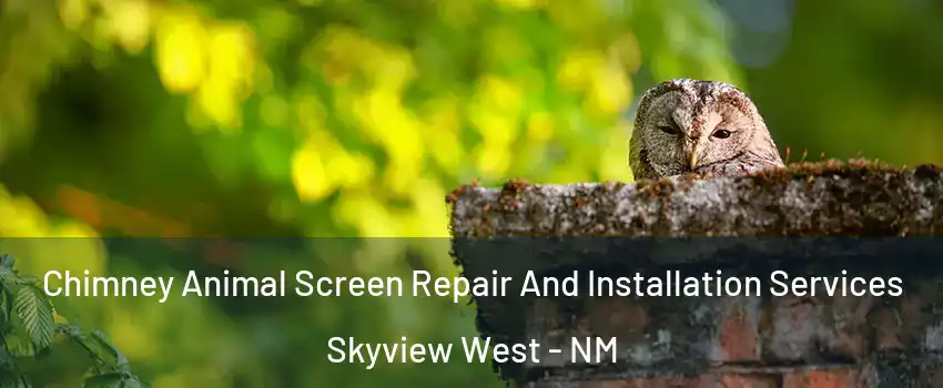 Chimney Animal Screen Repair And Installation Services Skyview West - NM