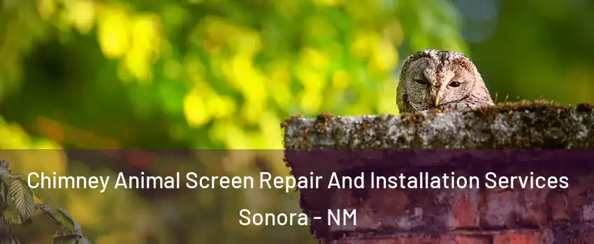 Chimney Animal Screen Repair And Installation Services Sonora - NM