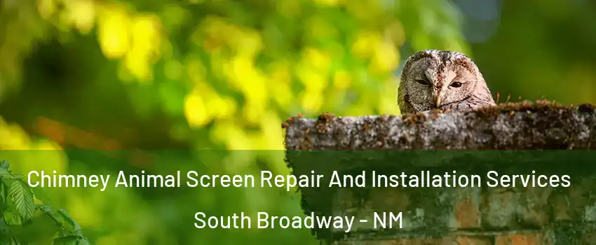 Chimney Animal Screen Repair And Installation Services South Broadway - NM
