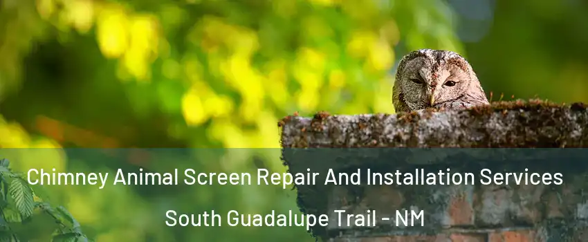 Chimney Animal Screen Repair And Installation Services South Guadalupe Trail - NM