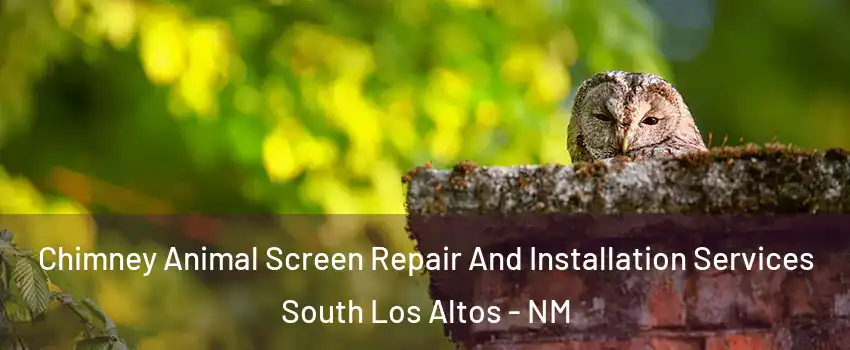 Chimney Animal Screen Repair And Installation Services South Los Altos - NM