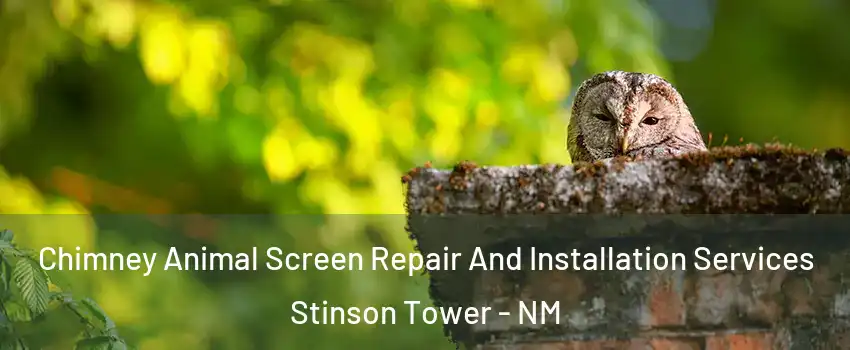 Chimney Animal Screen Repair And Installation Services Stinson Tower - NM