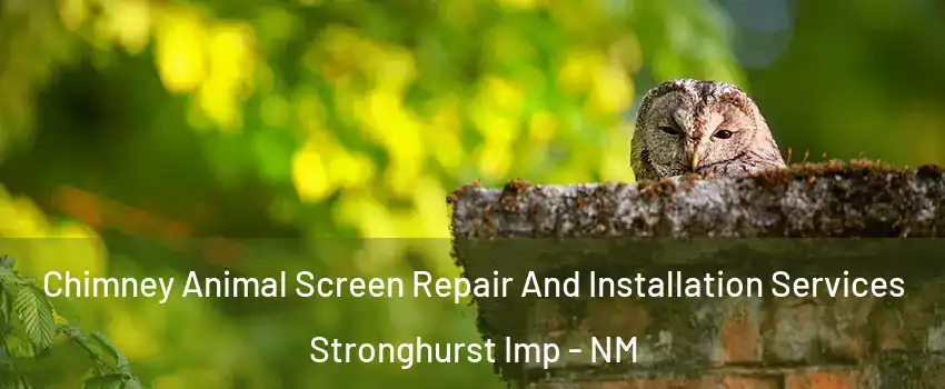 Chimney Animal Screen Repair And Installation Services Stronghurst Imp - NM