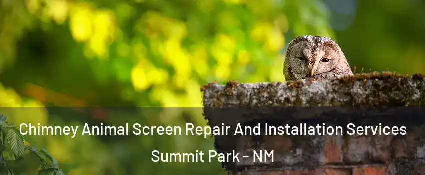 Chimney Animal Screen Repair And Installation Services Summit Park - NM