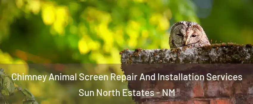 Chimney Animal Screen Repair And Installation Services Sun North Estates - NM