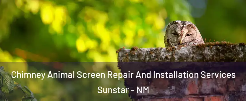 Chimney Animal Screen Repair And Installation Services Sunstar - NM