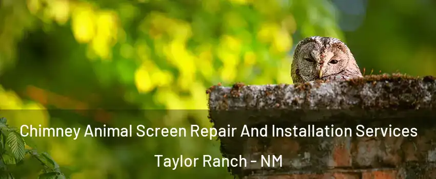 Chimney Animal Screen Repair And Installation Services Taylor Ranch - NM