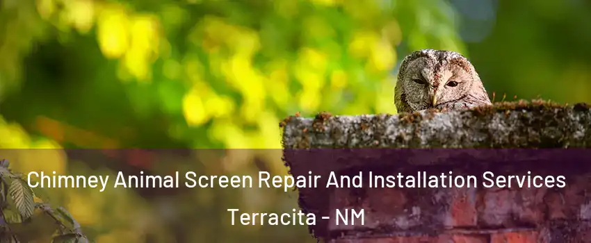 Chimney Animal Screen Repair And Installation Services Terracita - NM