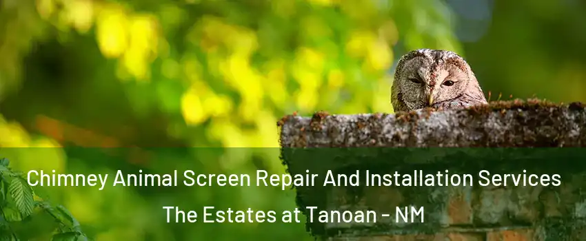 Chimney Animal Screen Repair And Installation Services The Estates at Tanoan - NM