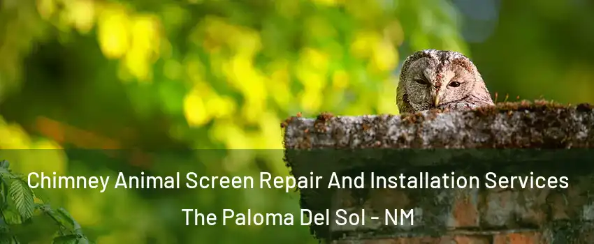 Chimney Animal Screen Repair And Installation Services The Paloma Del Sol - NM