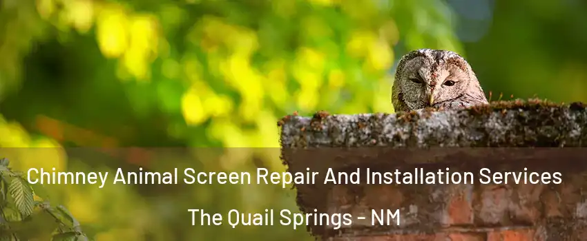 Chimney Animal Screen Repair And Installation Services The Quail Springs - NM