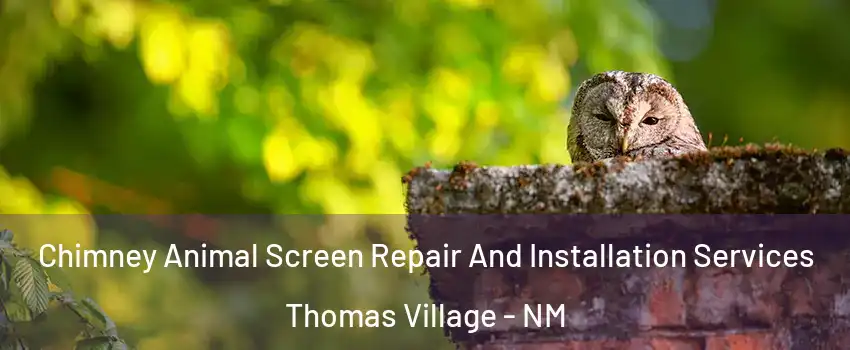 Chimney Animal Screen Repair And Installation Services Thomas Village - NM