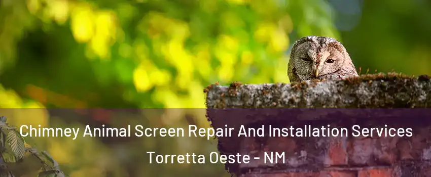Chimney Animal Screen Repair And Installation Services Torretta Oeste - NM
