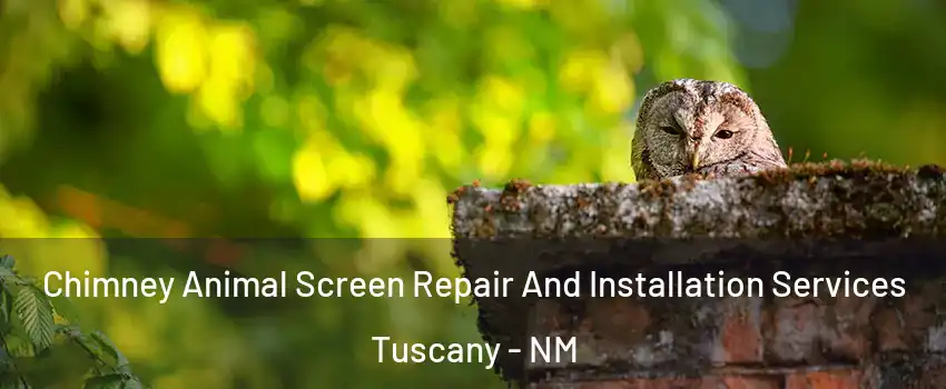 Chimney Animal Screen Repair And Installation Services Tuscany - NM