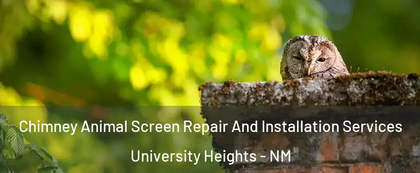 Chimney Animal Screen Repair And Installation Services University Heights - NM